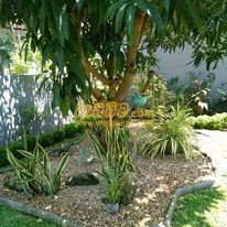 landscaping prices in Kaduwela
