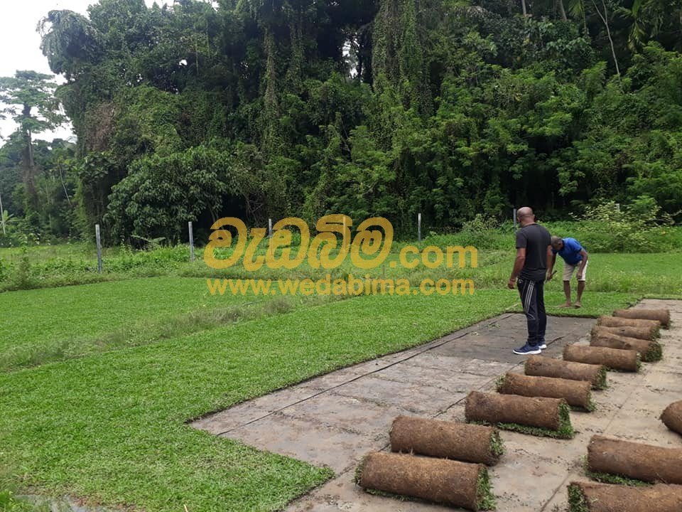 Landscape Work Peradeniya Getabe Sri Lanka