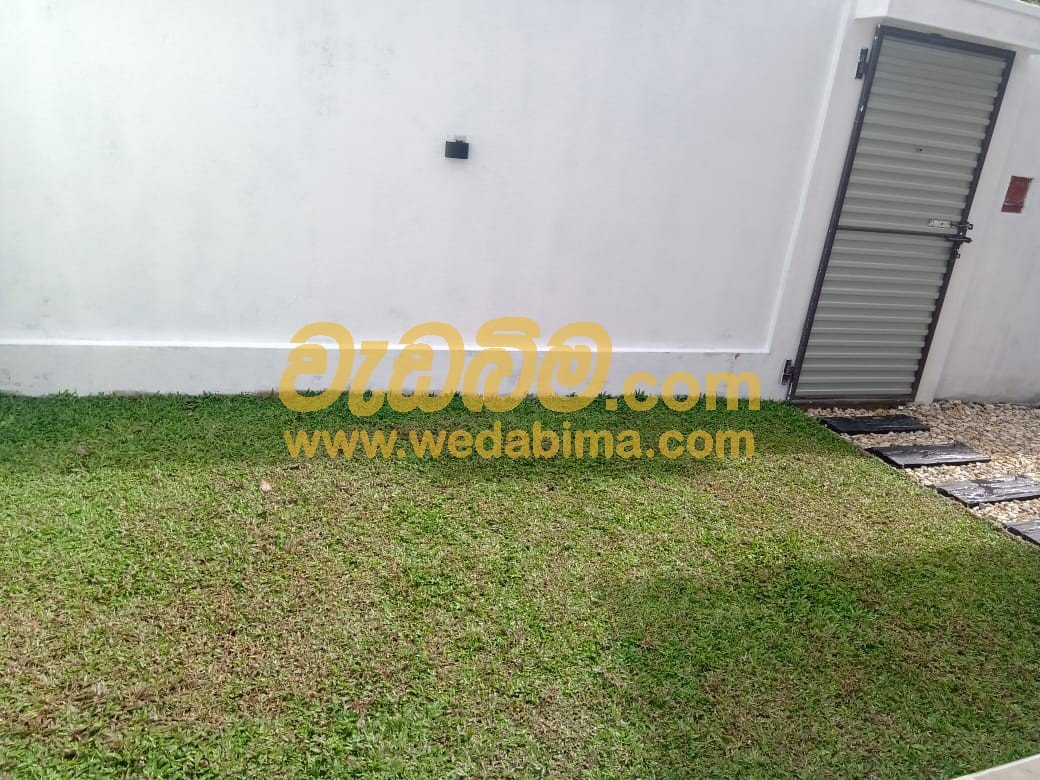 landscaping contractors in Colombo