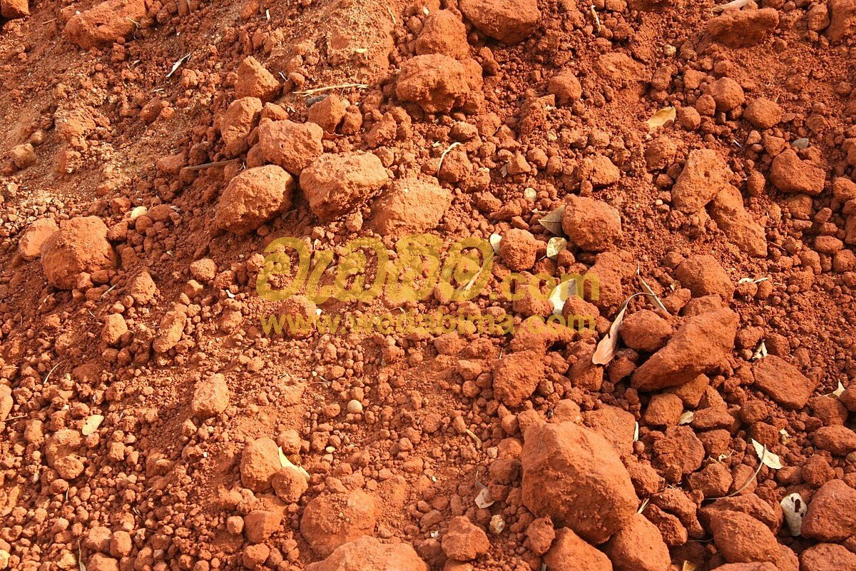 Red soil best price in srilanka