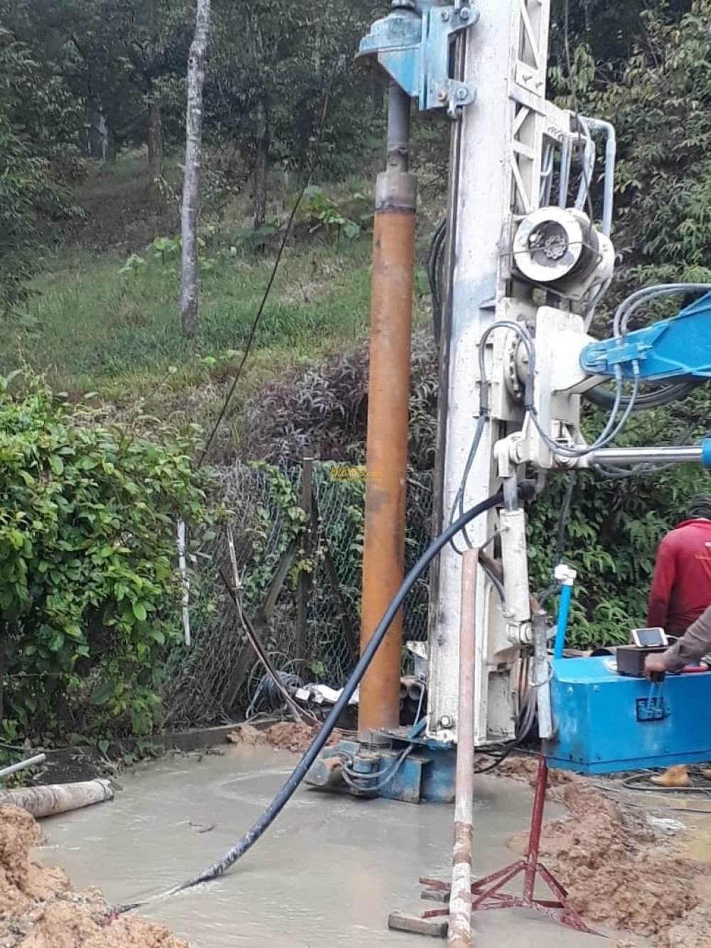 nala lin price in Bandarawela