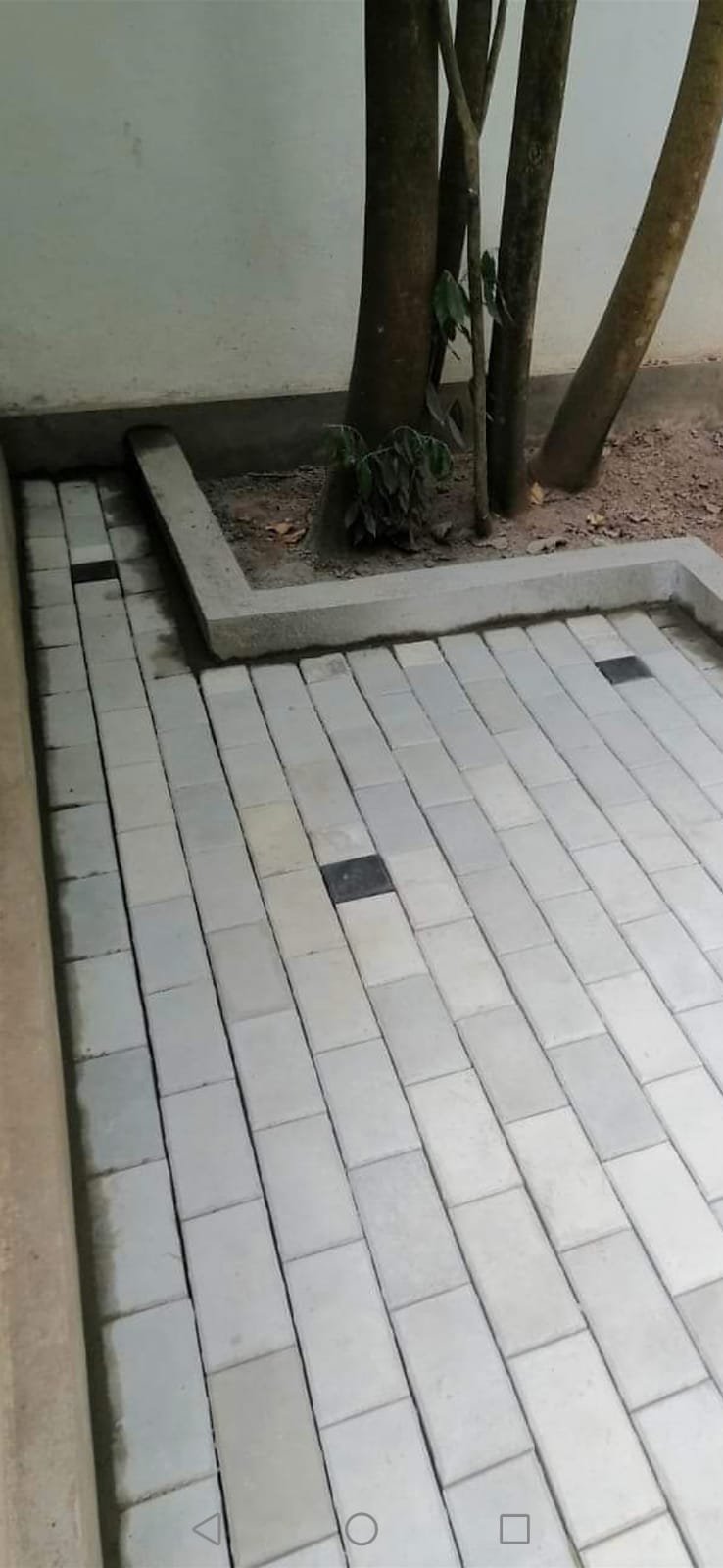 Interlock Designs For Gardens in colombo