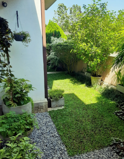 Landscaping Solution In Negombo
