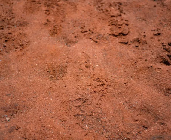 Top Soil for sale in colombo Gampaha