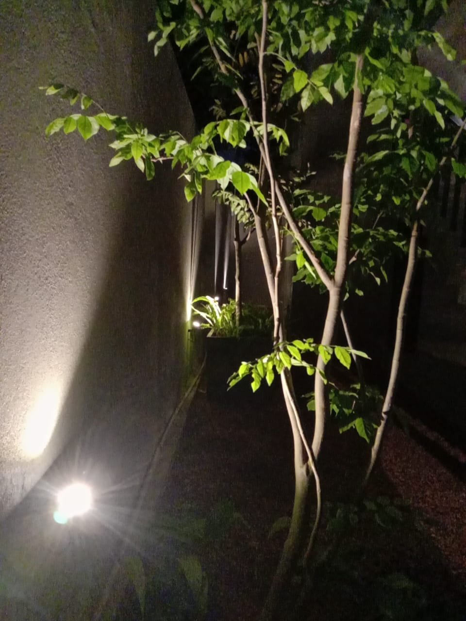 garden Lightning design colombo