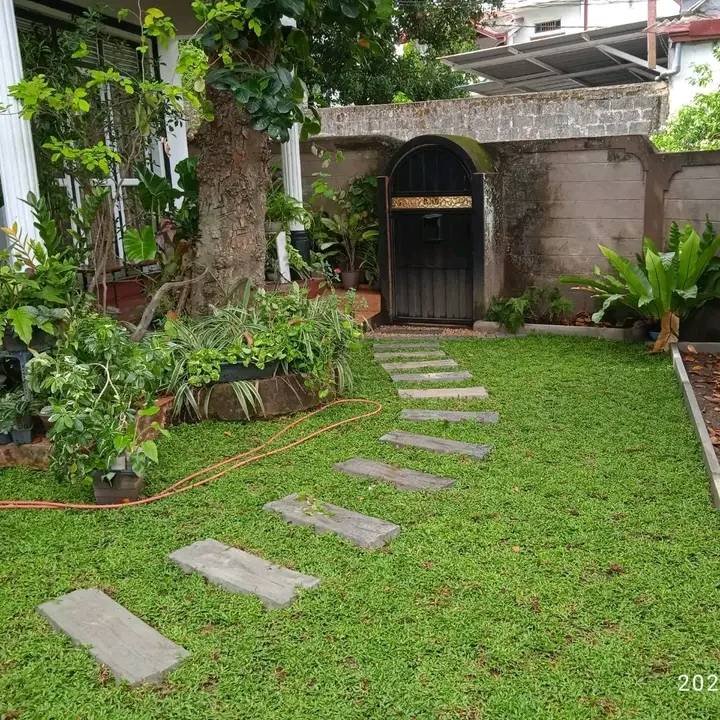 landscape designers in colombo