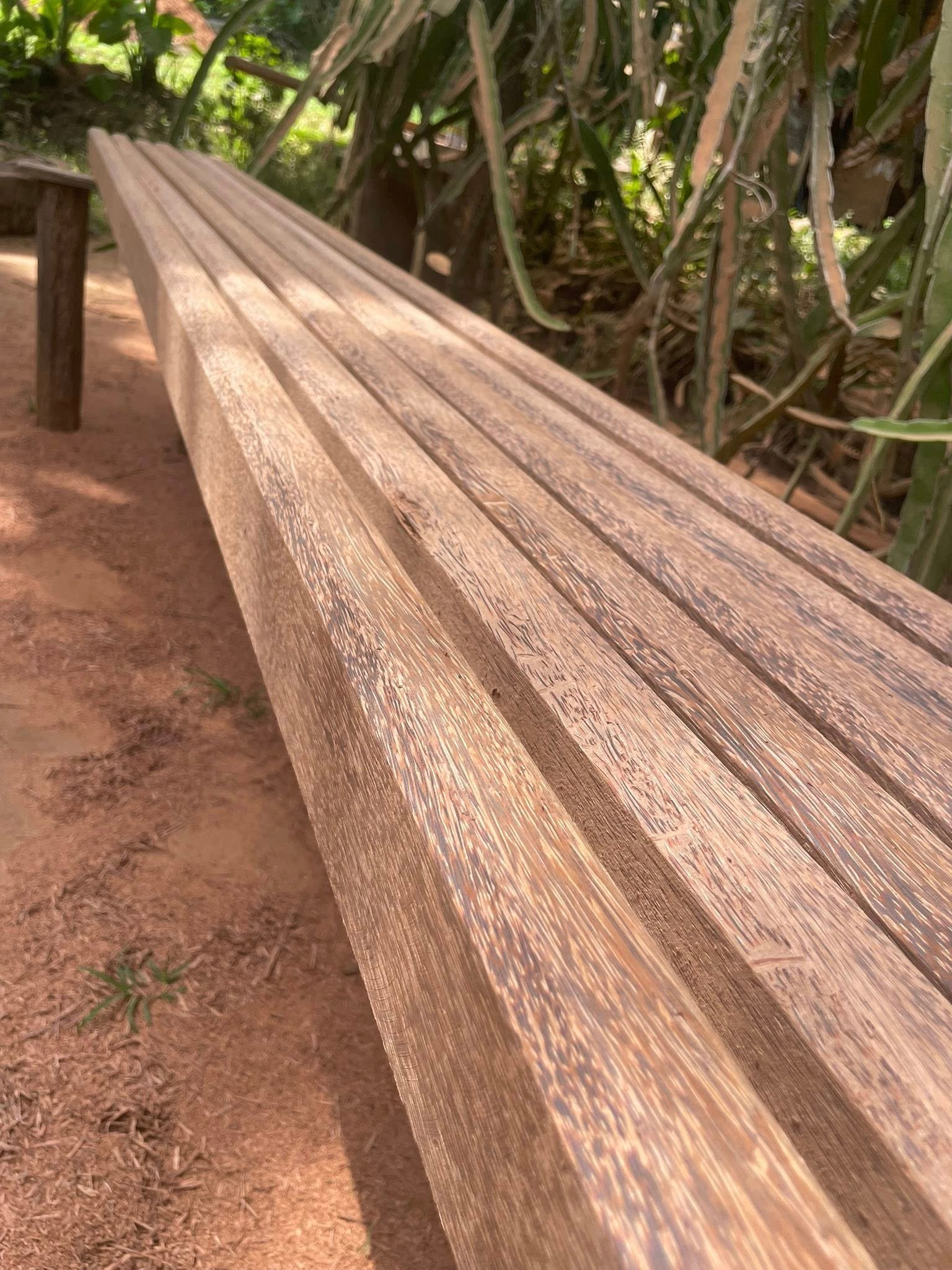 pol lee price in sri lanka