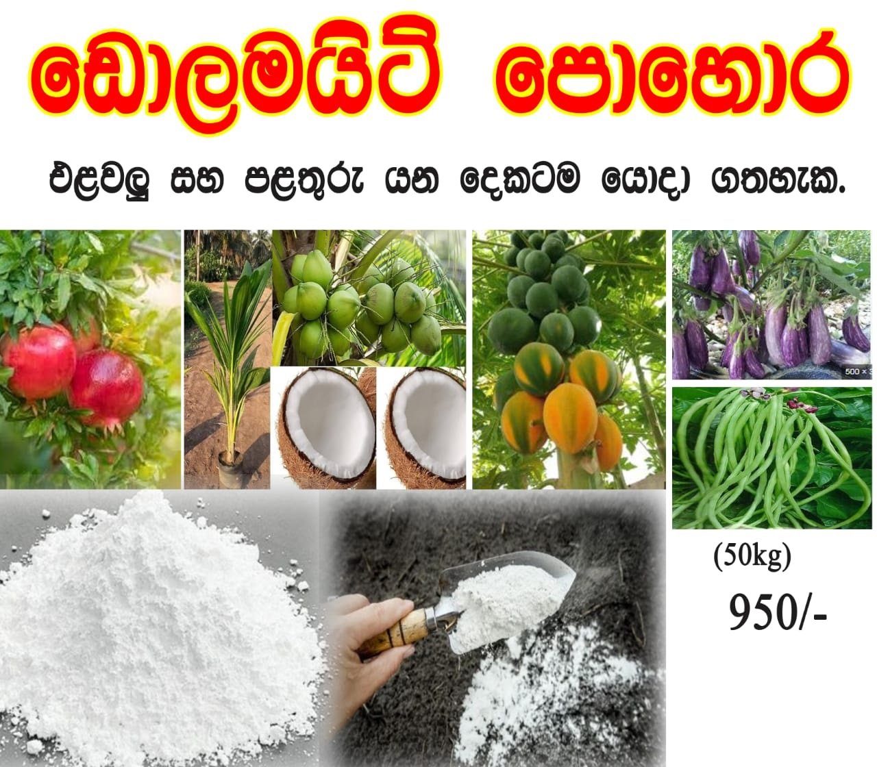 dolomite fertilizer price in sri lanka