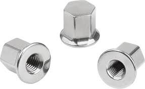 Cap nut stainless steel in sri lanka