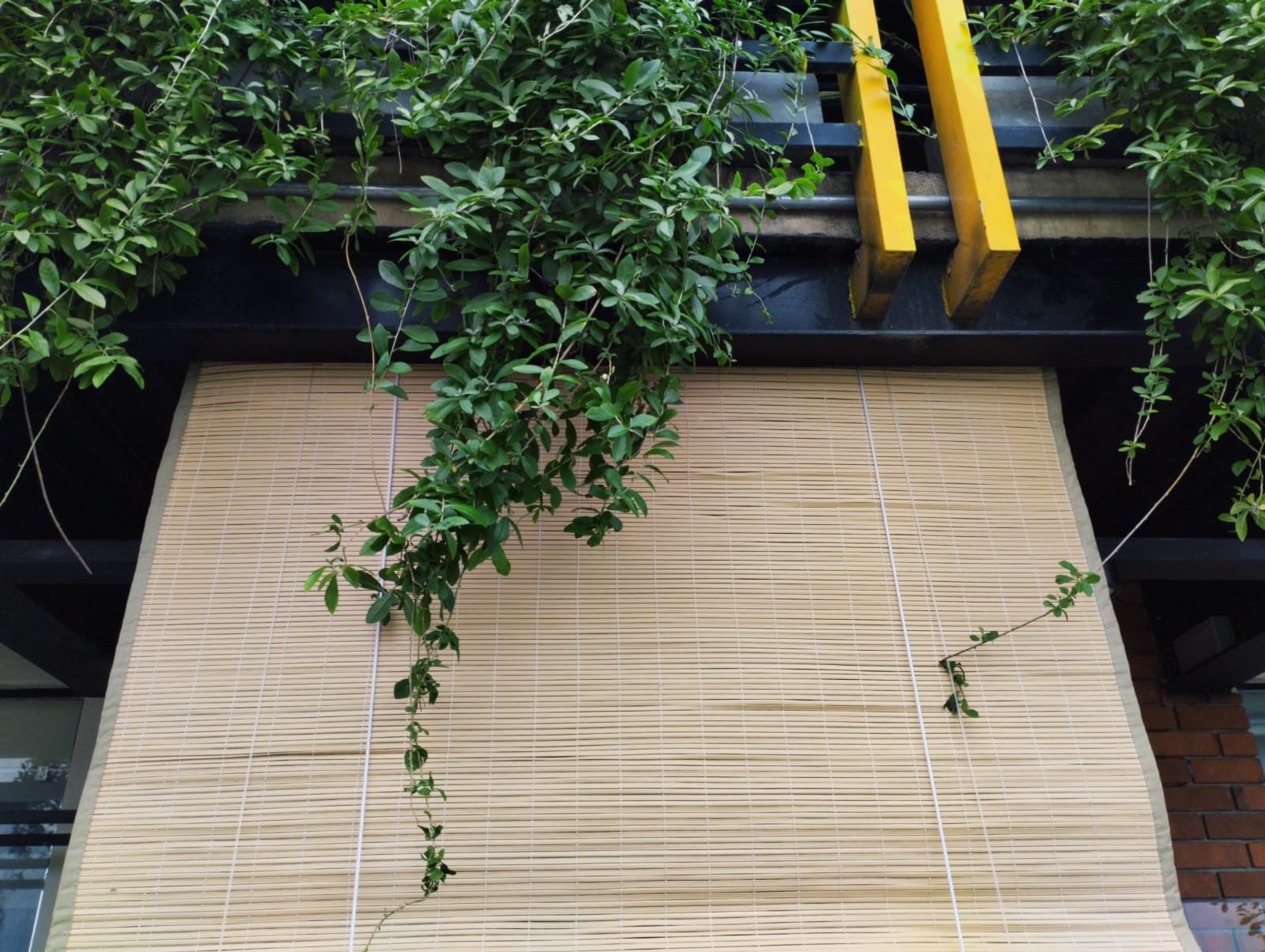 plastic bamboo blinds kadawatha
