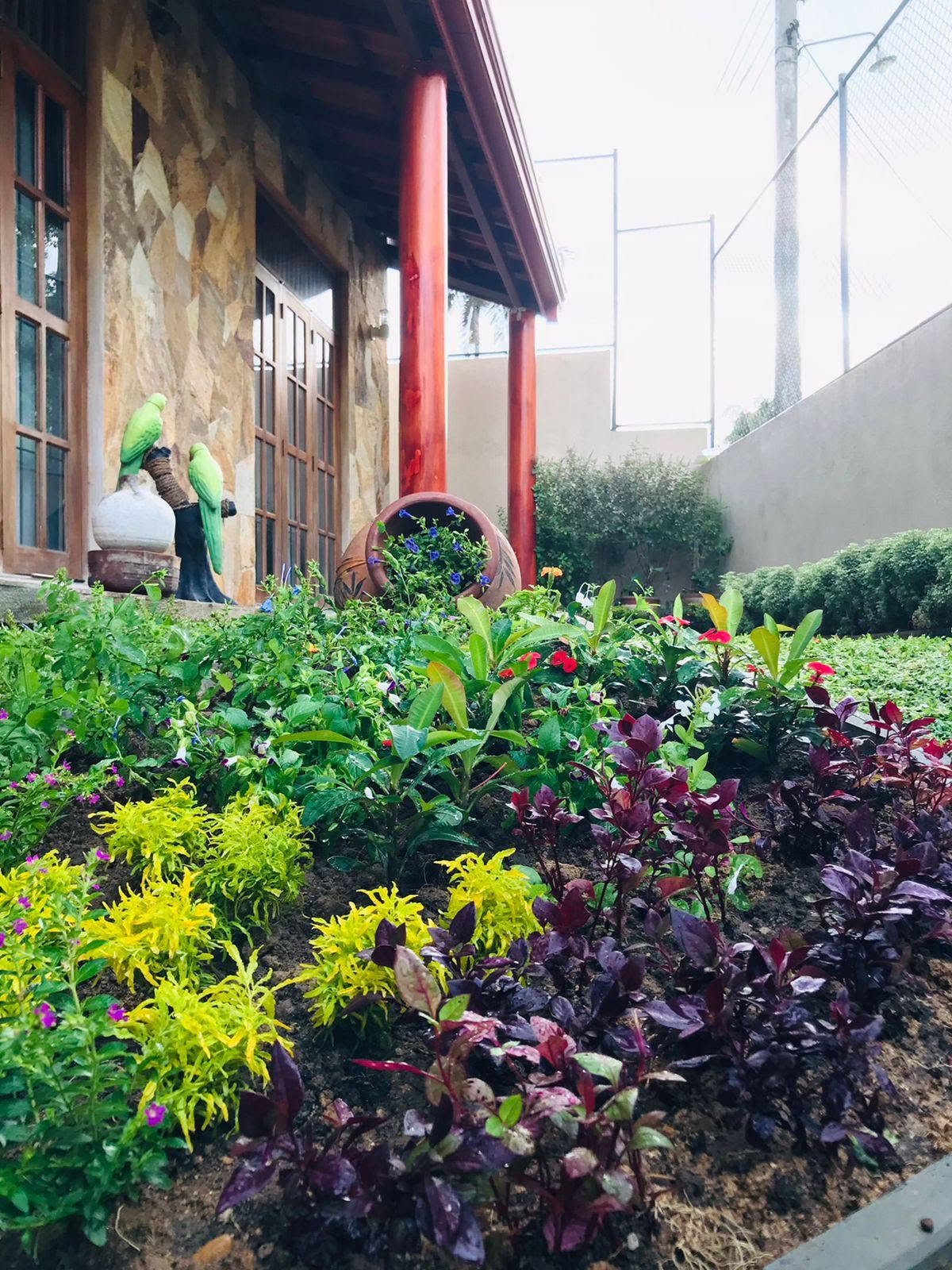 Gardening Maintenance Kaduwela colombo