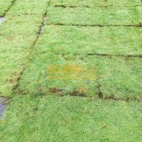 landscaping contractors in Badulla