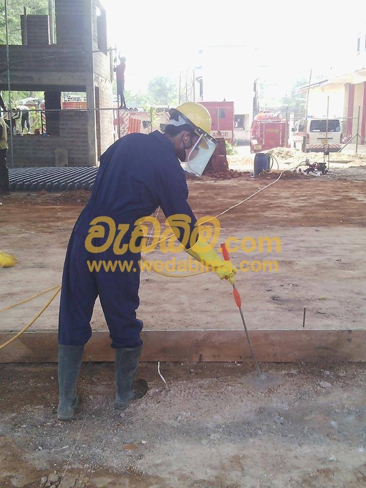 pest control solution in island wide