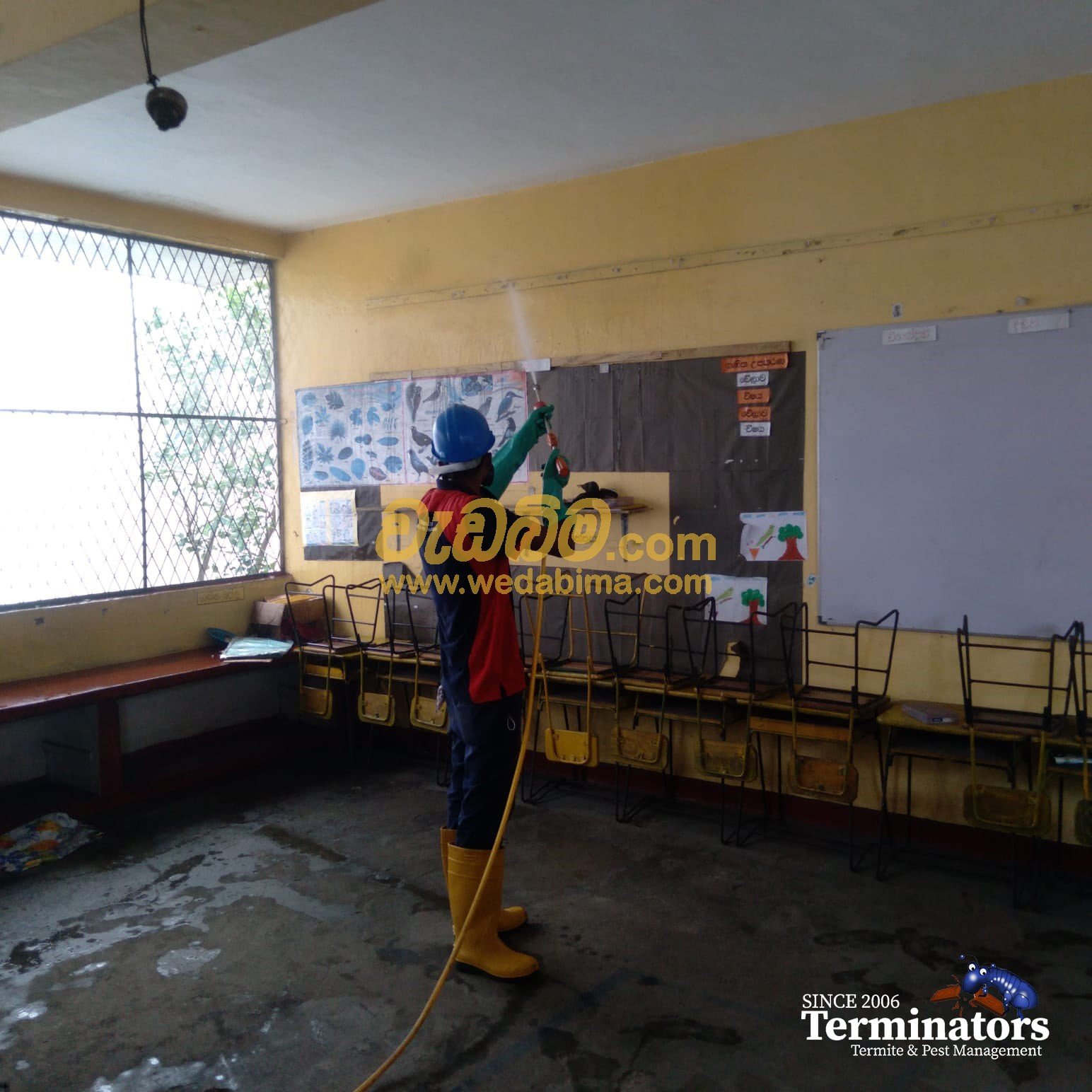 Termite treatment Anuradhapura