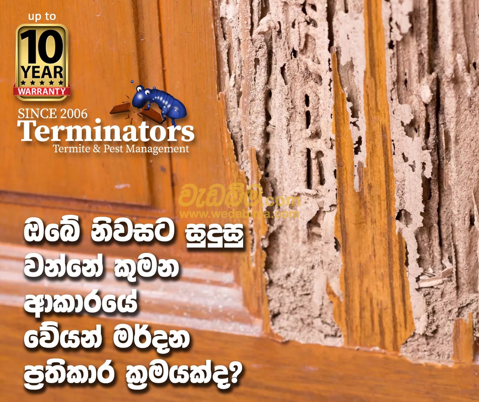anti termite solution colombo