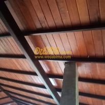 Coconut Timber in Puttalam