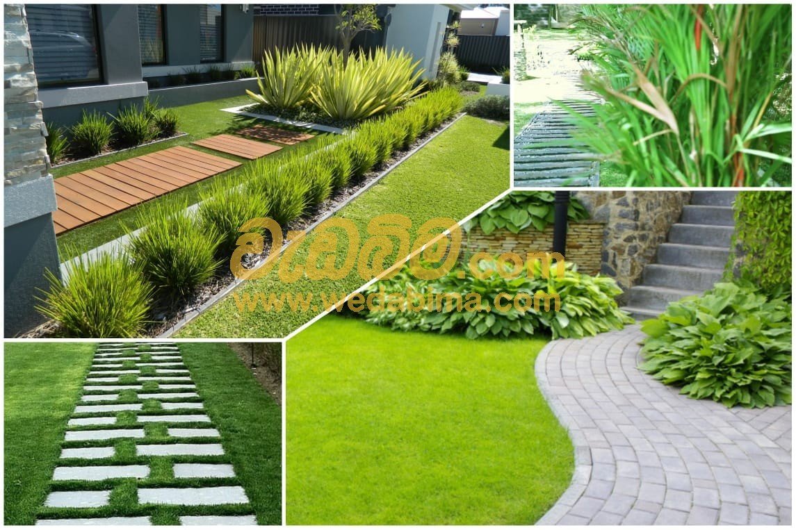 Landscaping Work Sri Lanka - Badulla