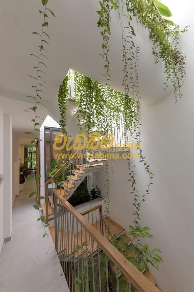 Curtain Creeper Designs - Kurunegala