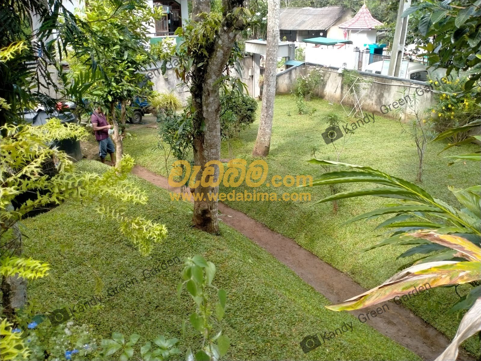 Landscape Designers price in sri lanka