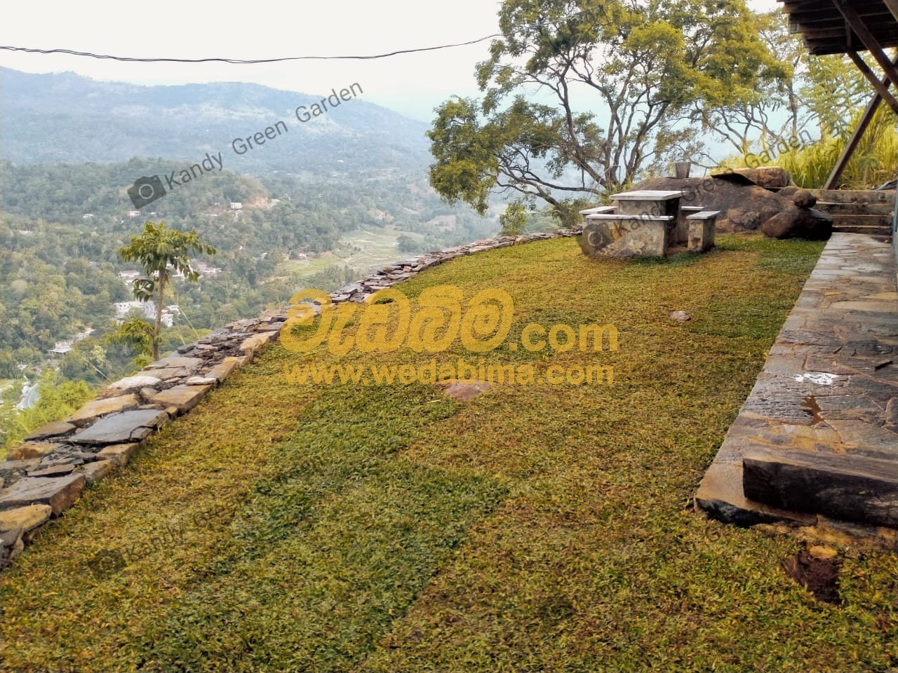 Grass For Landscaping kandy