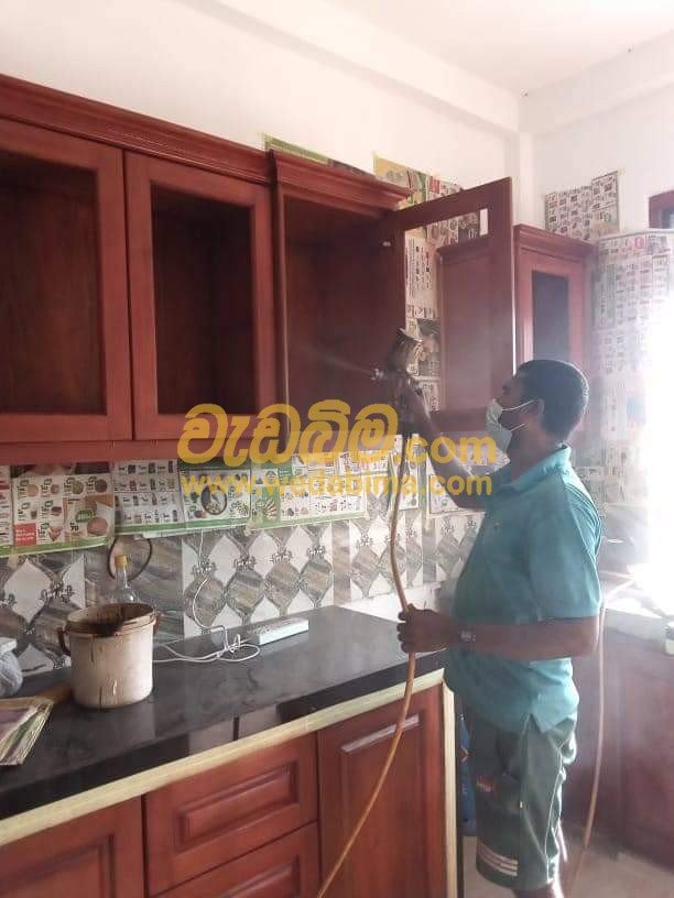 Water Based Painting Services Ingiriya, kalutara