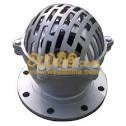 Stainless Steel Foot Valves colombo