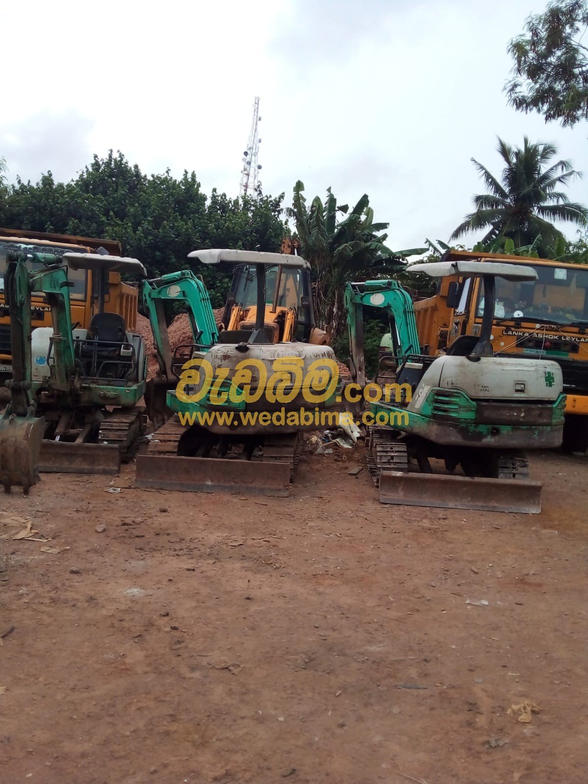 Excavator for rent in sri lanka