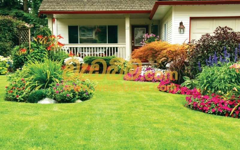 landscaping sri lanka