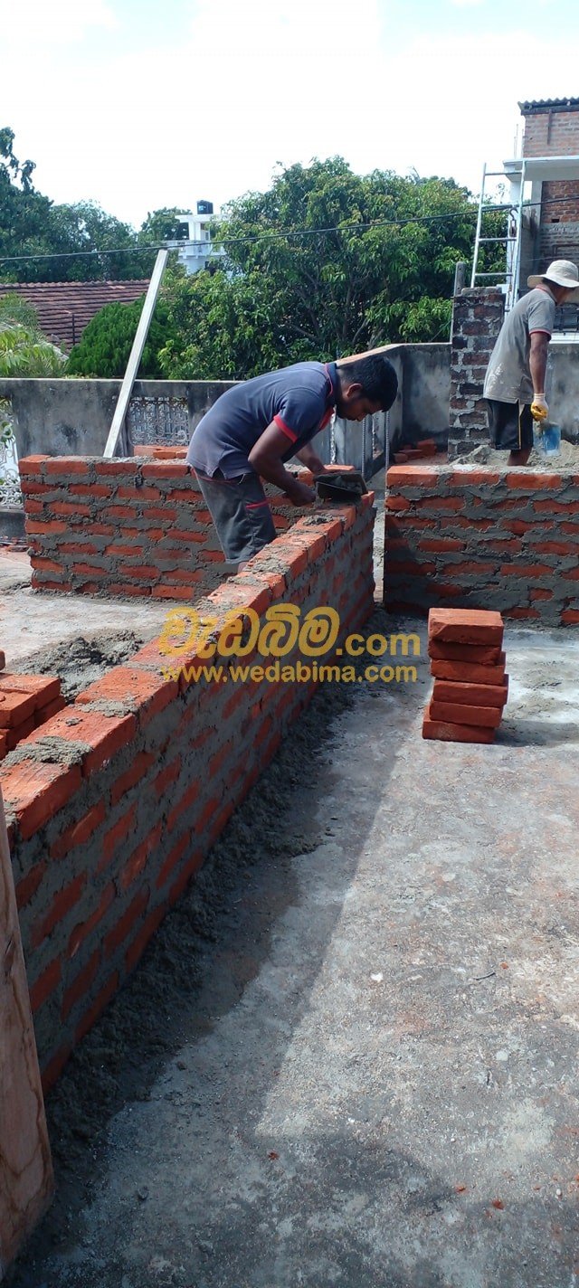 Other image 202403/wedabima.com_aJWplakixO2wTqKCEj7Cmx8KxkwuPLagh6XiWZID.jpeg