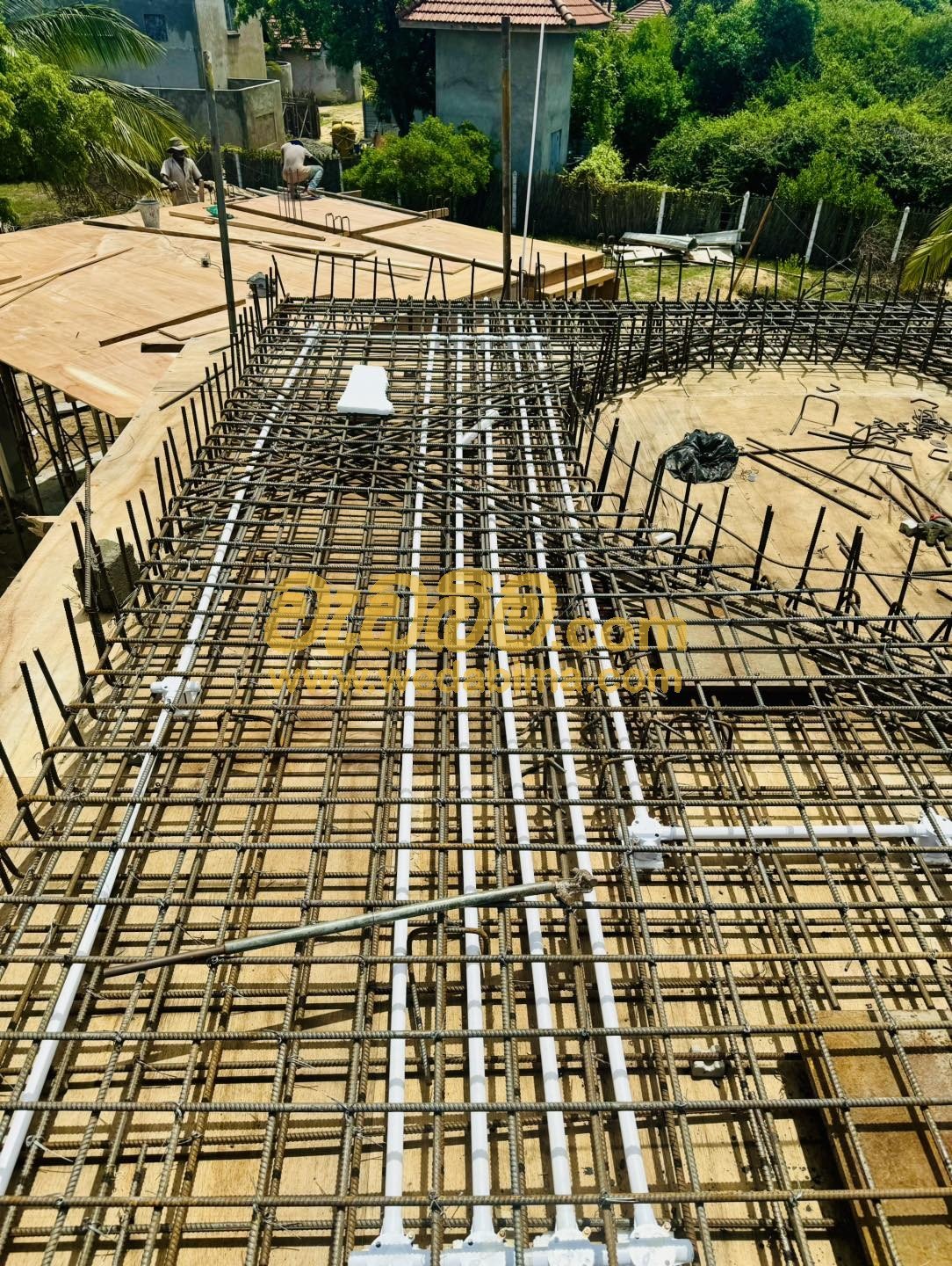 Other image 202405/wedabima.com_YQJQNtqT2iZyzf0XLTbRbCgh2u2ojBFe4CBZa5GB.jpeg