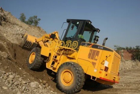 Other image 202407/wedabima.com_T3dSD7FnAJAVuEz8IET0J1I1HNR70Vh0h7I150jr.jpeg