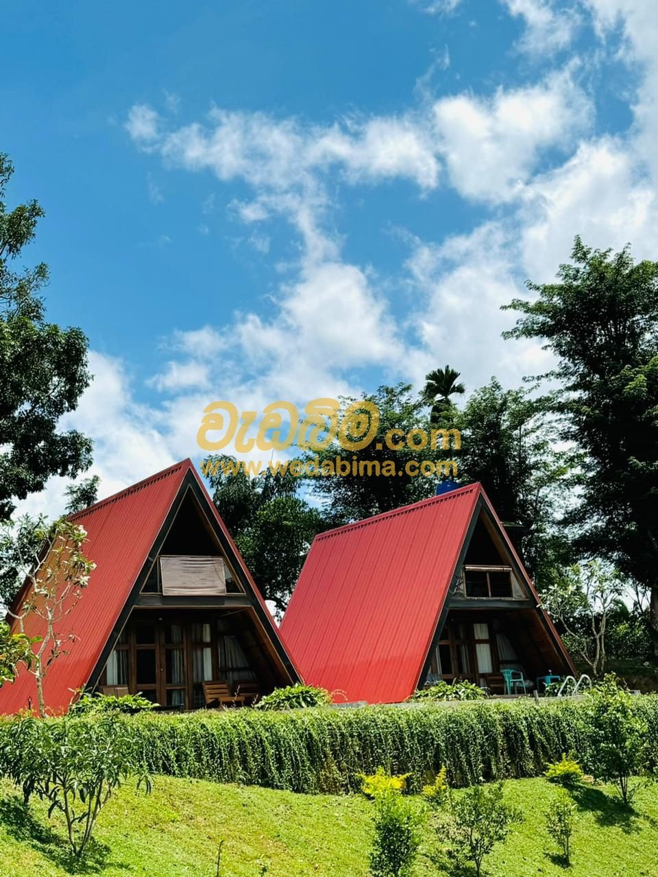 Other image 202410/wedabima.com_UQaC3UWCbKiP3nOQqAaIDjQcAnog7g1FaRwTx4iB.jpeg