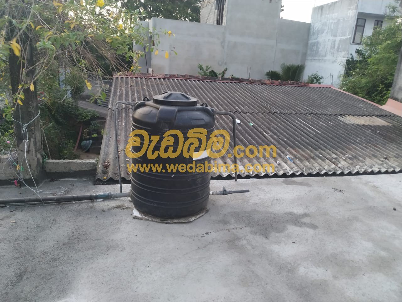 Other image 202504/wedabima.com_gDtCcS57my0XZfqb1Ht0Yrb828CVq42ED3qBAZKl.jpeg