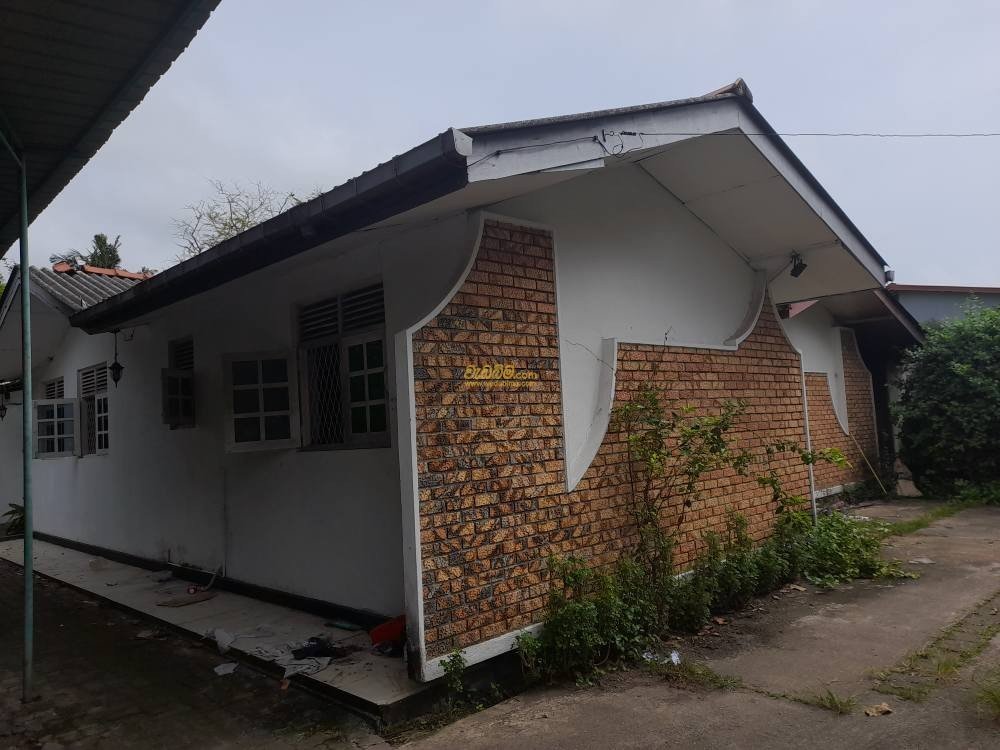 Other image 202505/wedabima.com_jUlgdf5lw1XuaaZpfgclVVHzCNlVTTgg2trOhXUh.jpeg