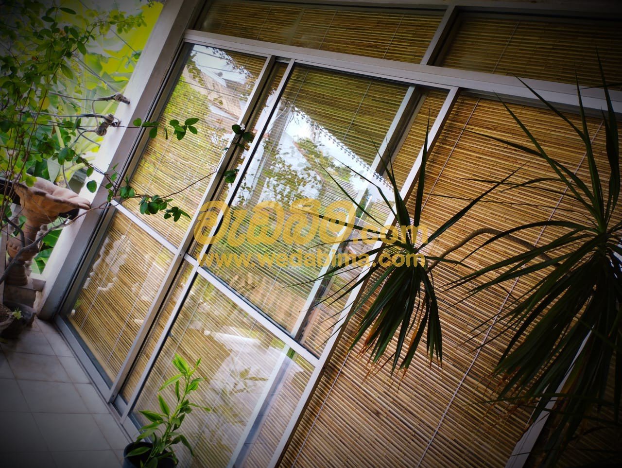 Other image 202505/wedabima.com_oCyhFWW12qDI4wNtEeT9Z3WJ6zdPuLuX0jN3a7M4.jpeg