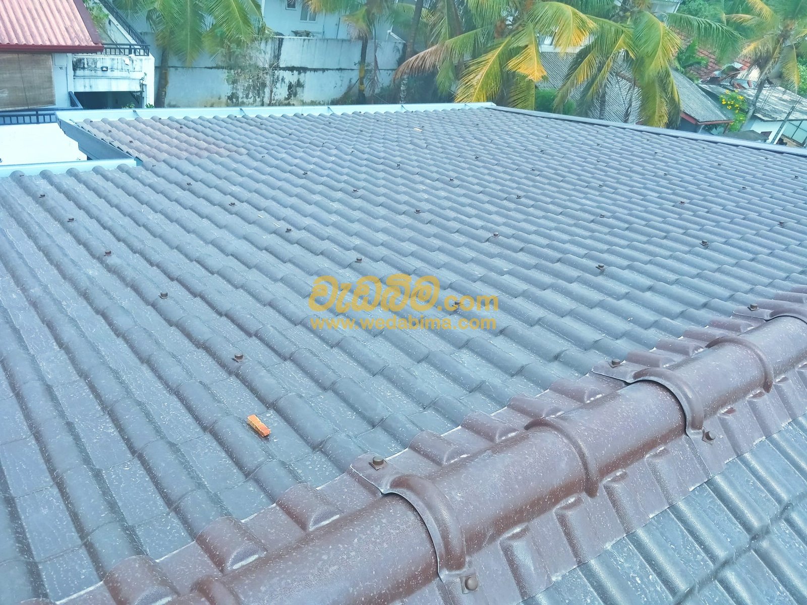 Other image 202507/wedabima.com_BvIXnI87RBLmhr0xHtOfchNlAyAJwZmoPUvG5FqX.jpeg