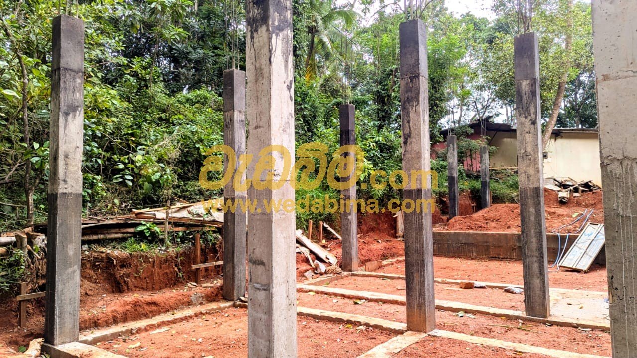 Other image 202507/wedabima.com_DgW2xQRSCbqYedu36tQj0JbIfPkDGfFInYdzA3Ih.jpeg