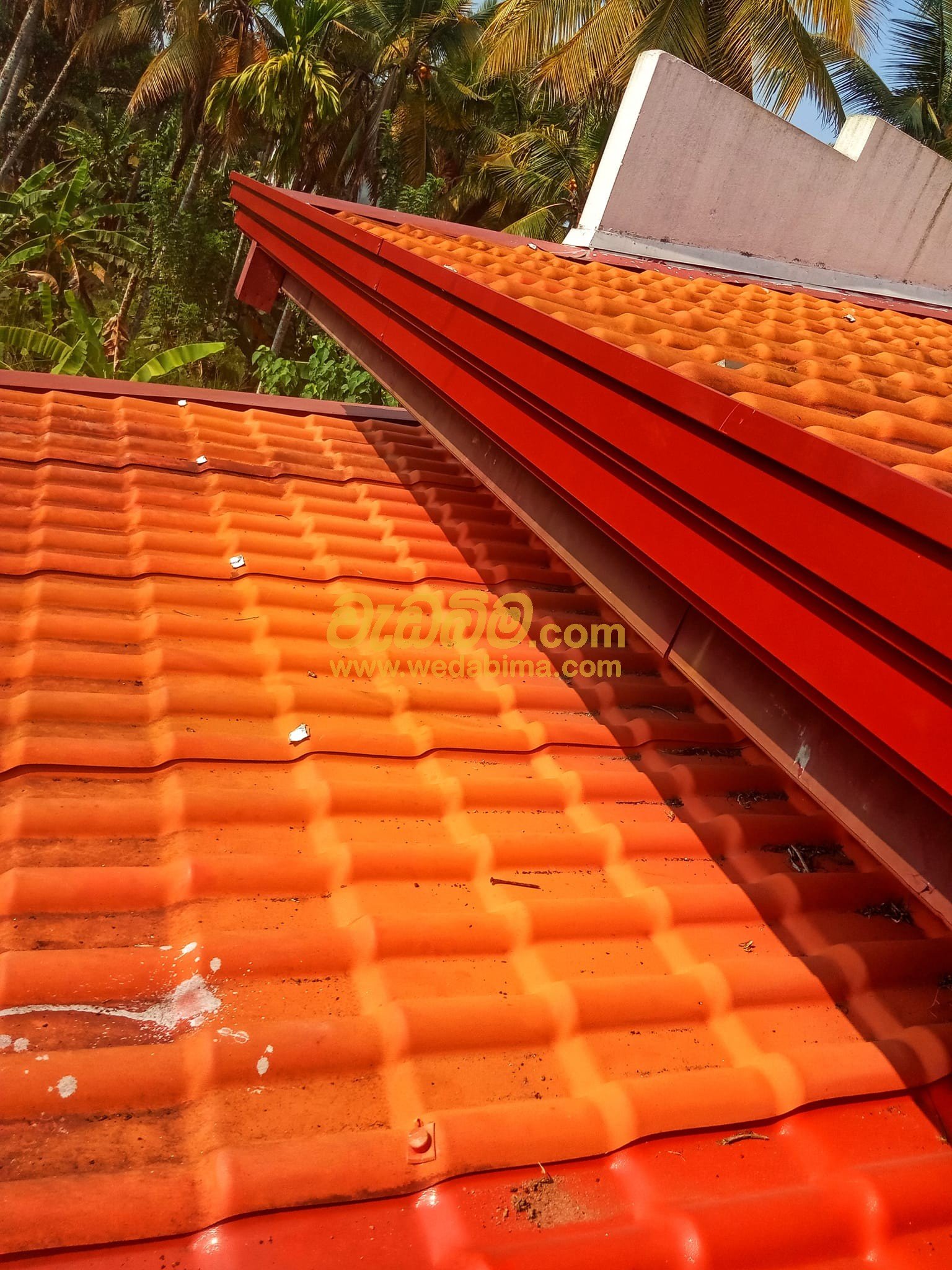 Other image 202507/wedabima.com_IotW4sV8zJbntWo8LSKI5zYXVNlgdj26wZSg1c14.jpeg