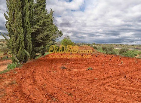 Other image 202507/wedabima.com_aOBruQZjAQq6PUrqfakM4epa6CTJI4DfTg7lmbez.jpeg