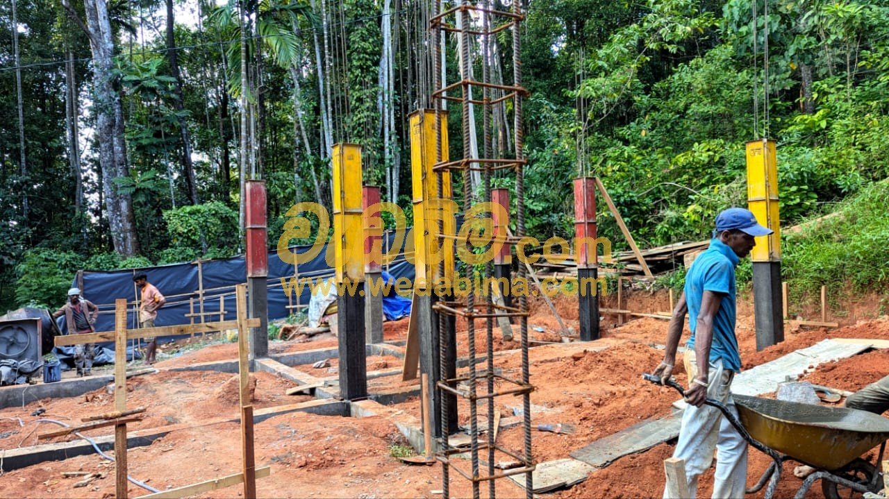 Other image 202507/wedabima.com_l25arZZPmOPmhnoZUTpSOlk84MdCFk6yAN8c6bTH.jpeg