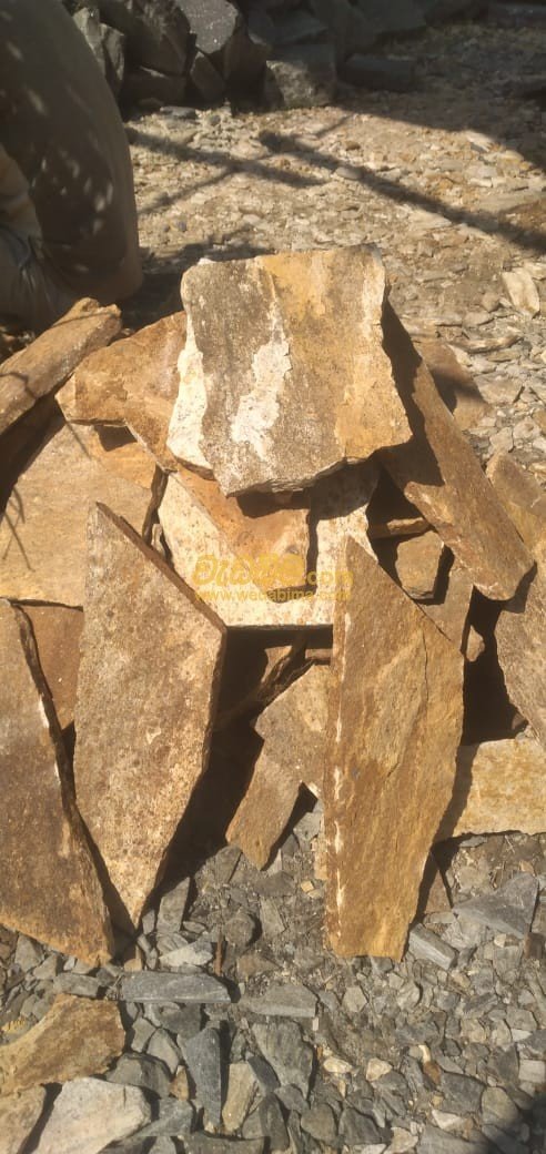 Other image 202507/wedabima.com_ynow8zBzEtNI8gipPSCFOboaAK4xQy23QxbIphyN.jpeg