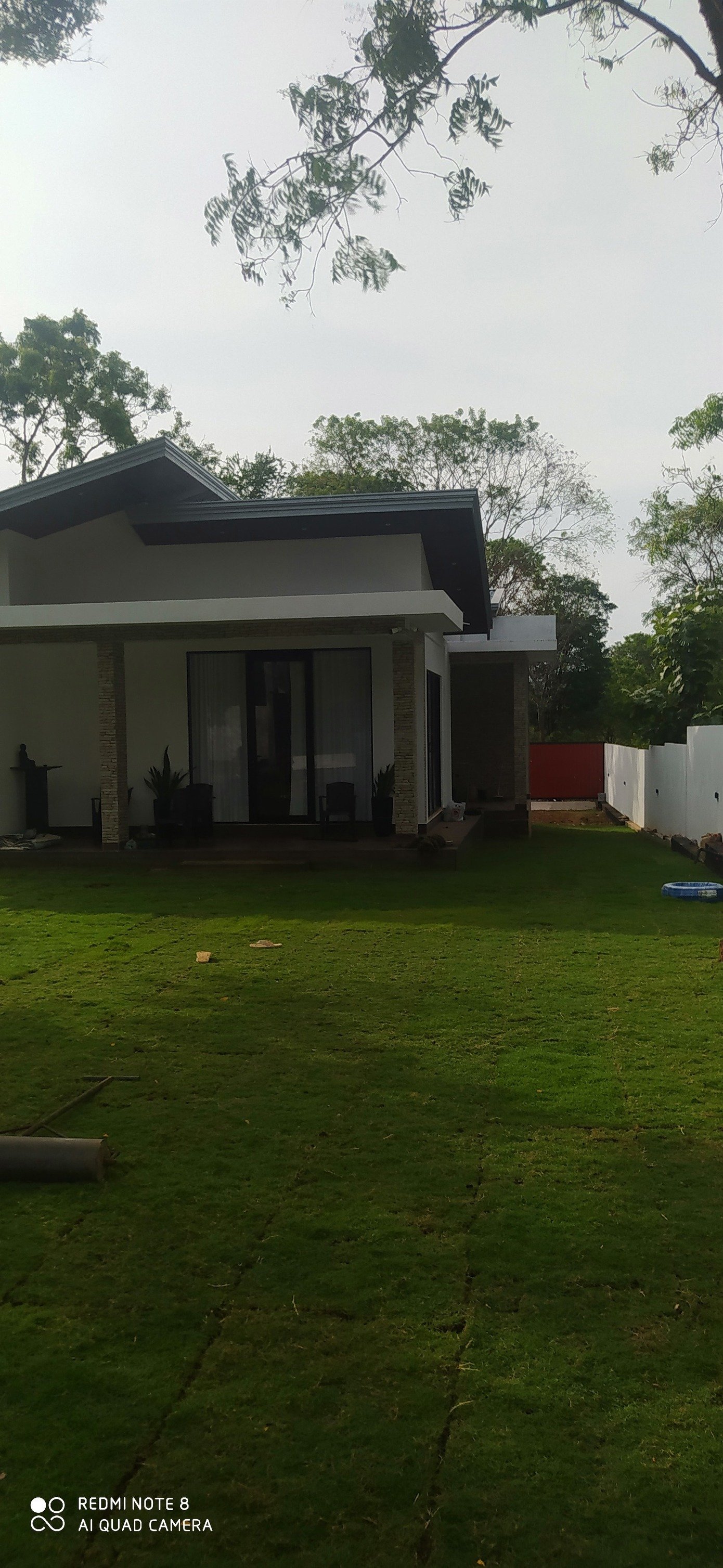 Other image 202508/australian-grass-price-in-ja-ela-wedabima-c56db4158b.jpg