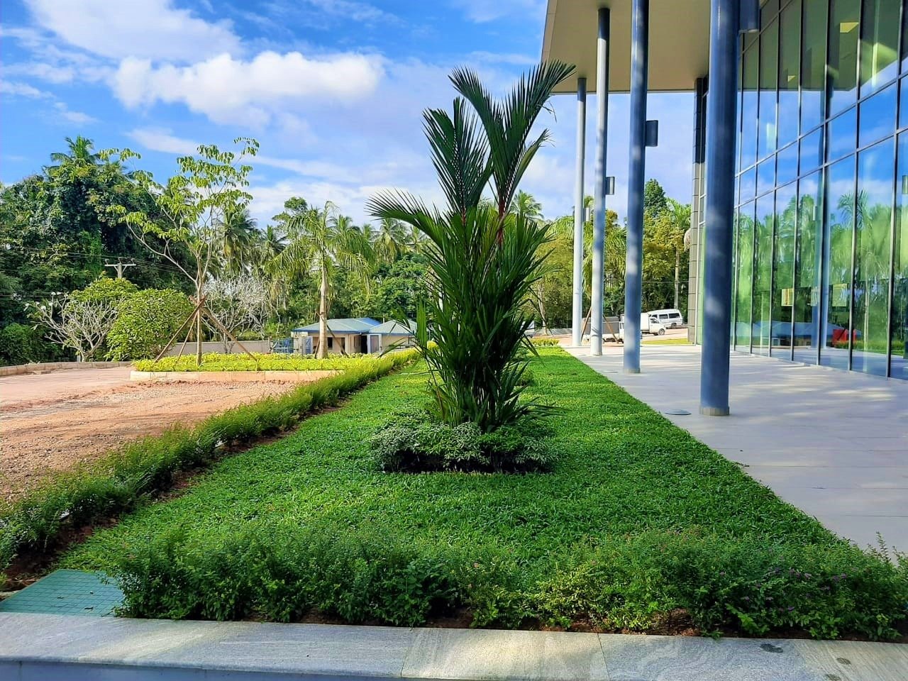 Other image 202508/garden-services-price-in-colombo-wedabima-ffd6b876e9.jpg