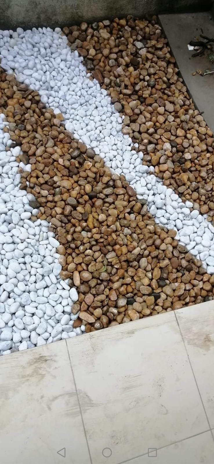 Other image 202508/interlock-designs-for-gardens-in-colombo-wedabima-45cd6d1ed1.jpeg