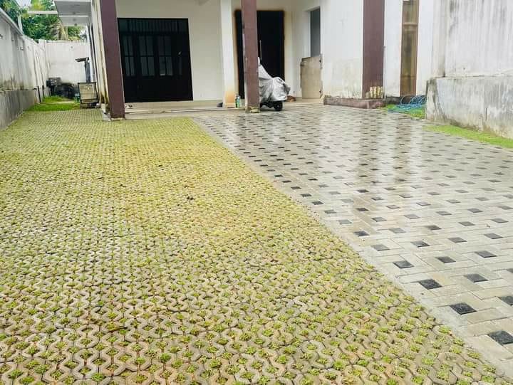 Other image 202508/interlock-designs-in-colombo-wedabima-542c358b9c.jpeg