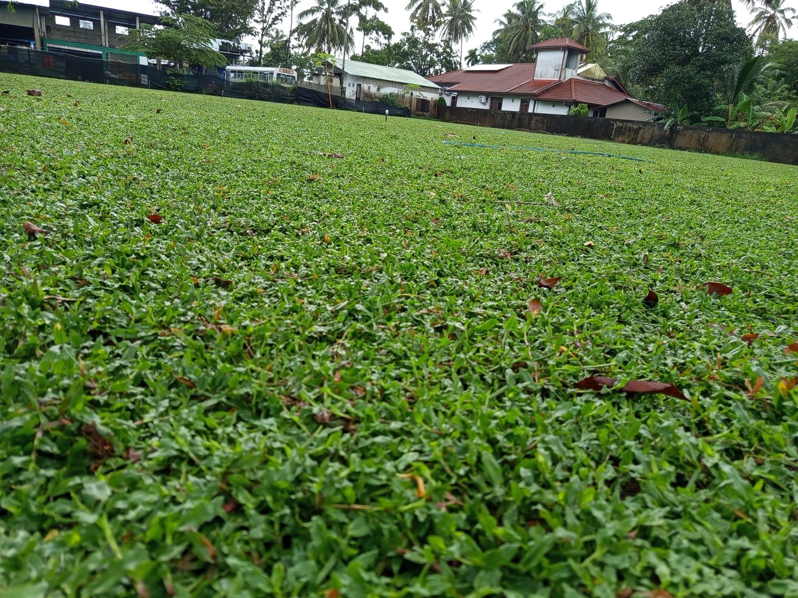 Other image 202508/landscaping-contractors-in-wattala-wedabima-718375cf6b.jpg