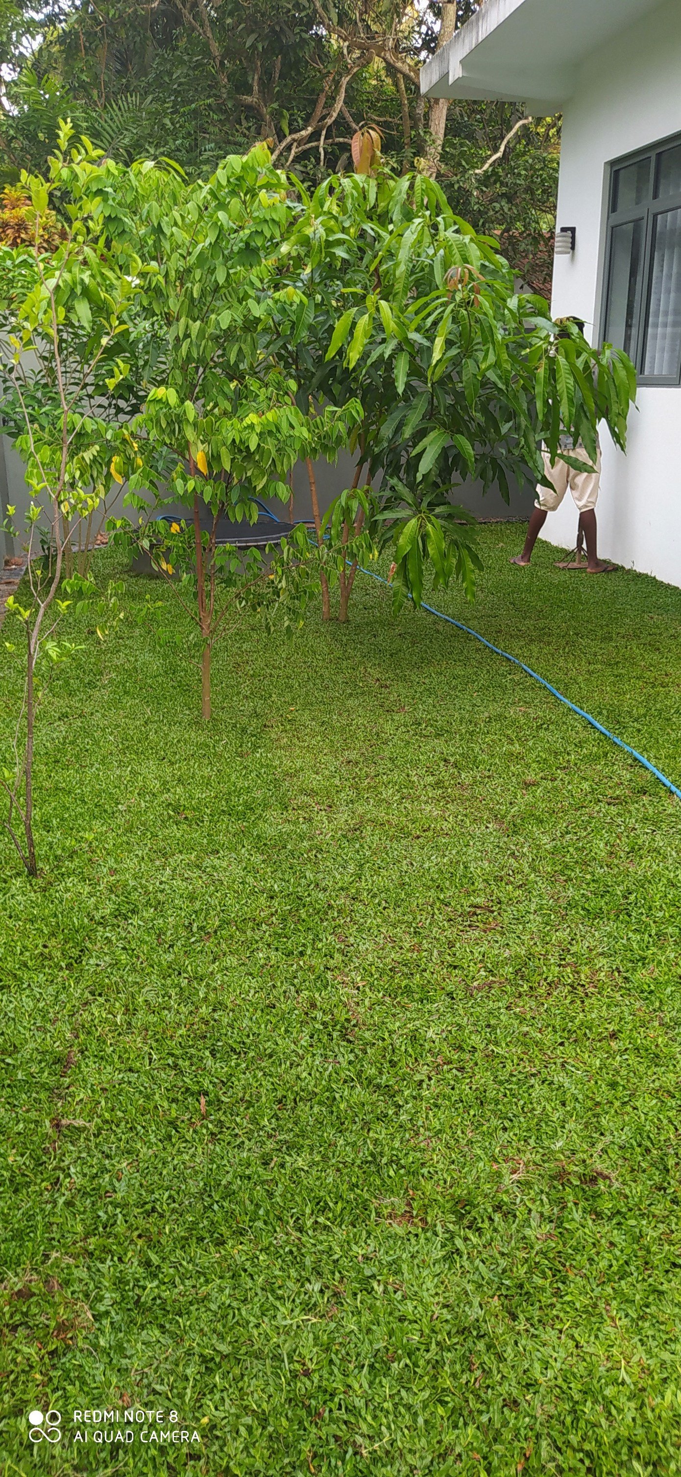 Other image 202508/landscaping-solution-in-negombo-wedabima-622c2bba9d.jpg