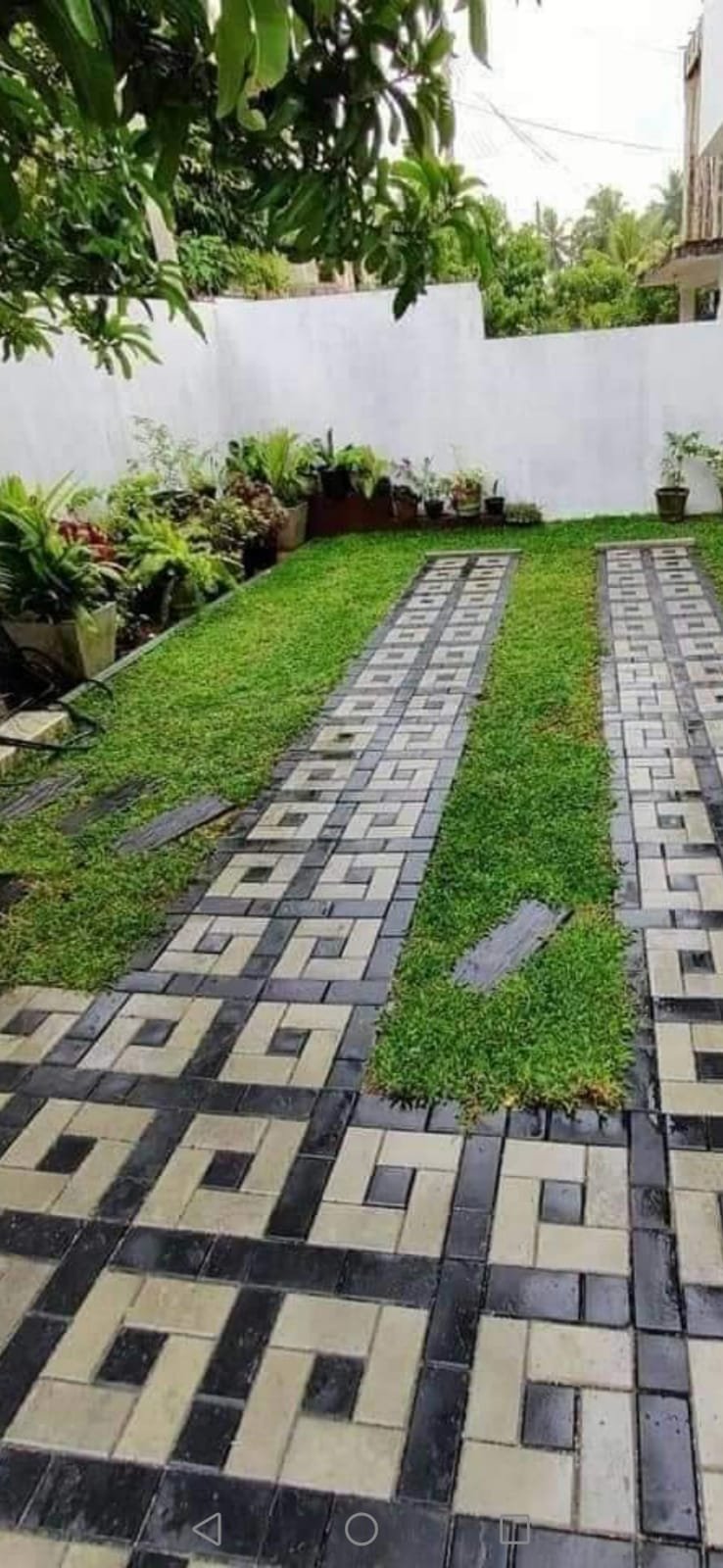 Other image 202508/landscaping-solutions-colombo-wedabima-91436773f8.jpeg