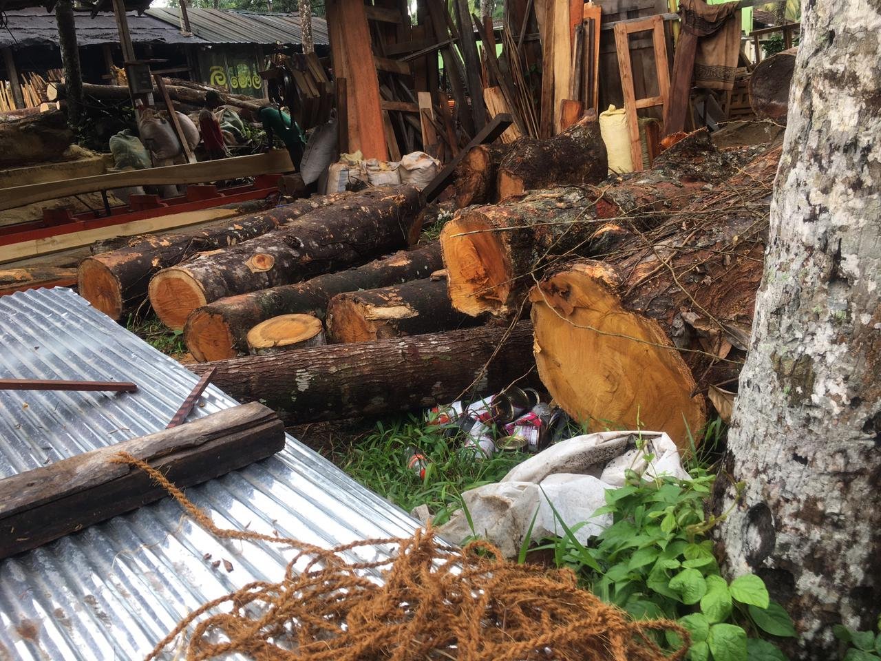 Other image 202508/teak-wood-price-in-gampaha-wedabima-d8f7e0a1c5.jpeg