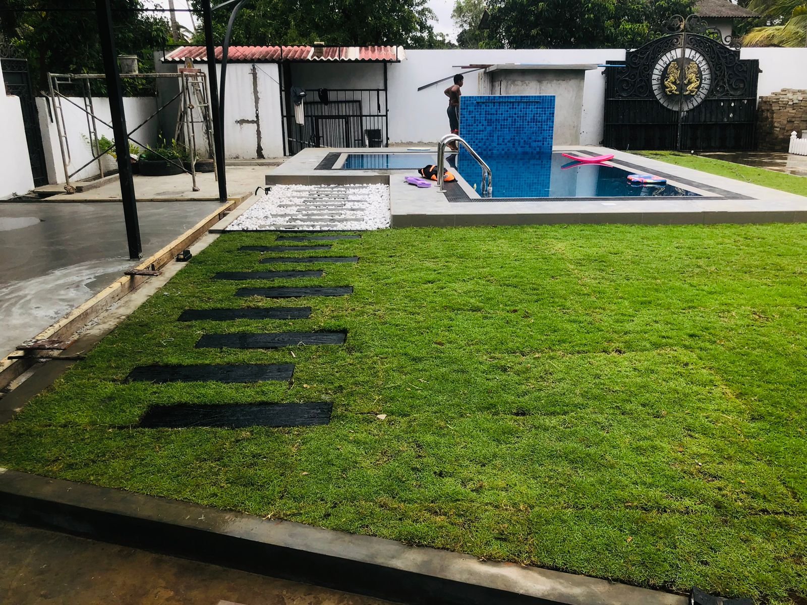 Other image 202509/australian-grass-price-kottawa-sri-lanka-wedabima-aedec10e82.jpeg